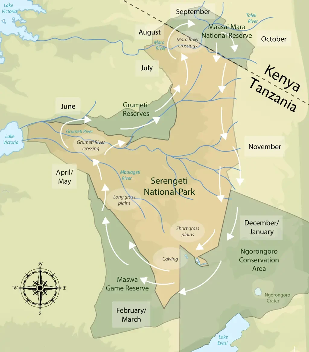 Carte de migration de Serengeti