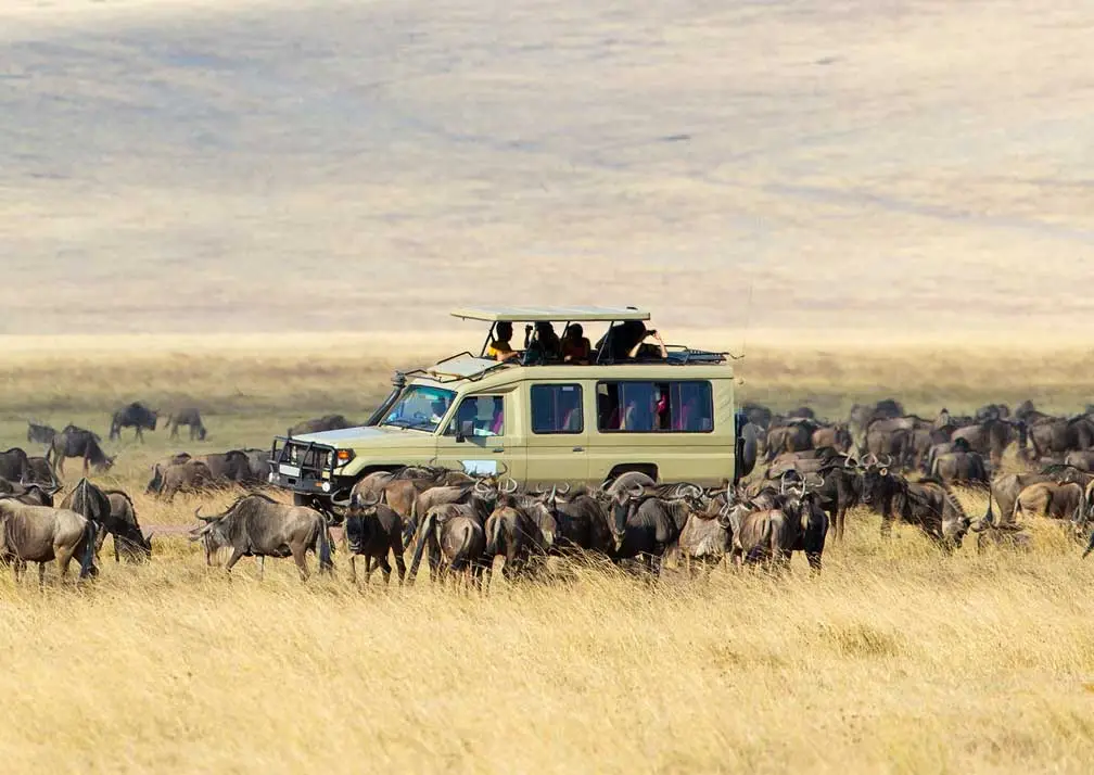 Serengeti National Park Safari