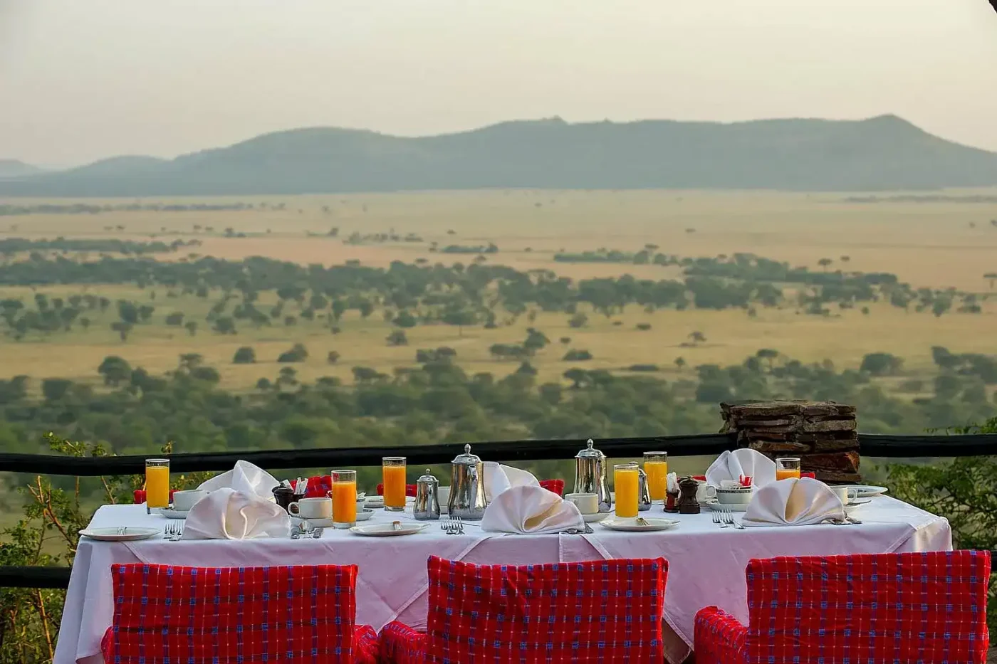 Dîner à l'intérieur du parc national de Serengeti