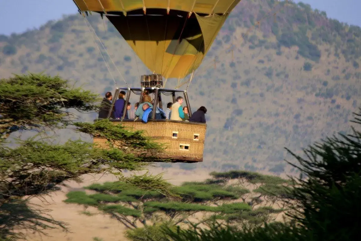 Wildlife Viewing from Serengeti Balloon