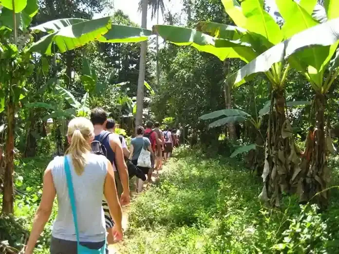 Tour d'épices d'une journée et expérience du village