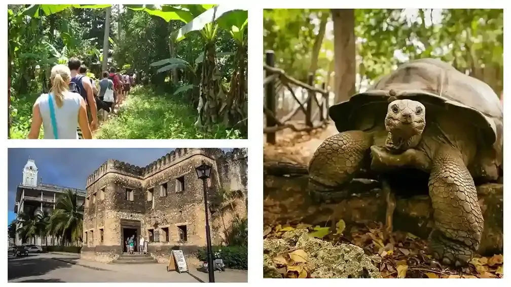 Stone Town, Spice Farm et Prison Island Tour