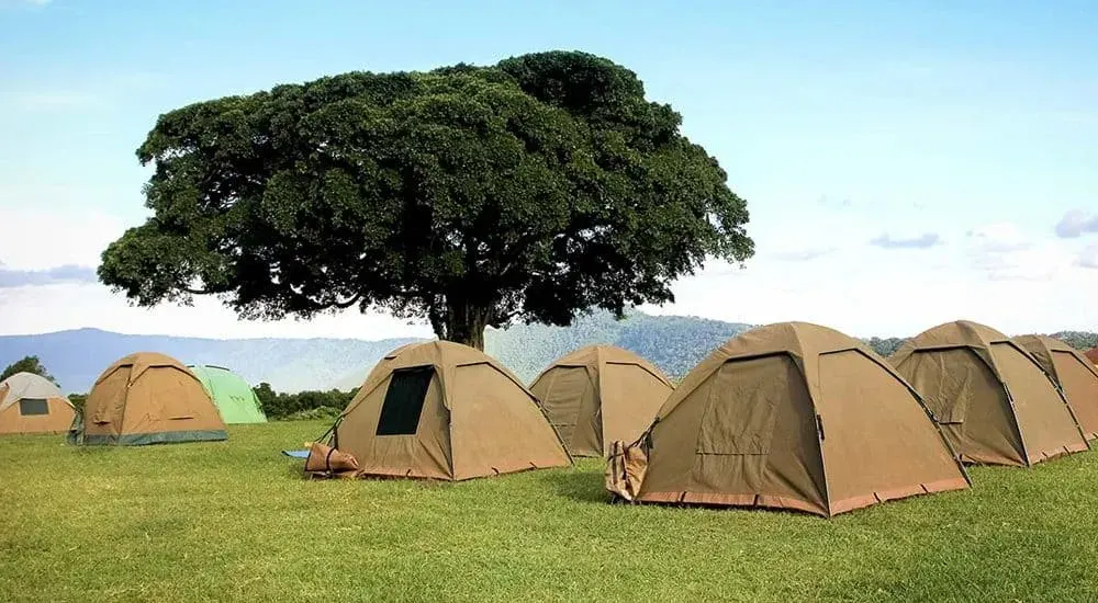 Safari en camping en Tanzanie de 5 jours