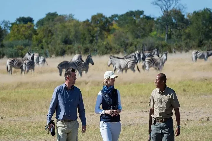 Meilleures excursions d'une journée de Dar es Salaam