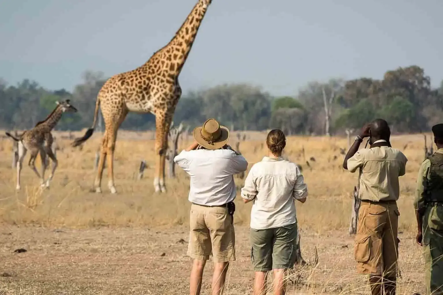 Voyage de la journée du parc national d'Arusha