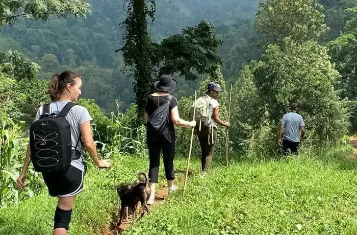 Meilleures excursions d'une journée de Moshi