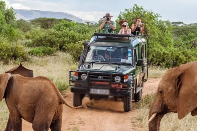 Détente léopard dans le parc national de Serengeti