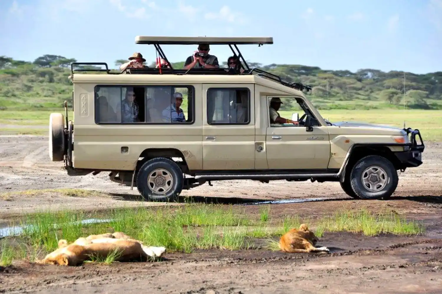 2 Days Tanzania Safari focused on Ngorongoro Crater game drive
