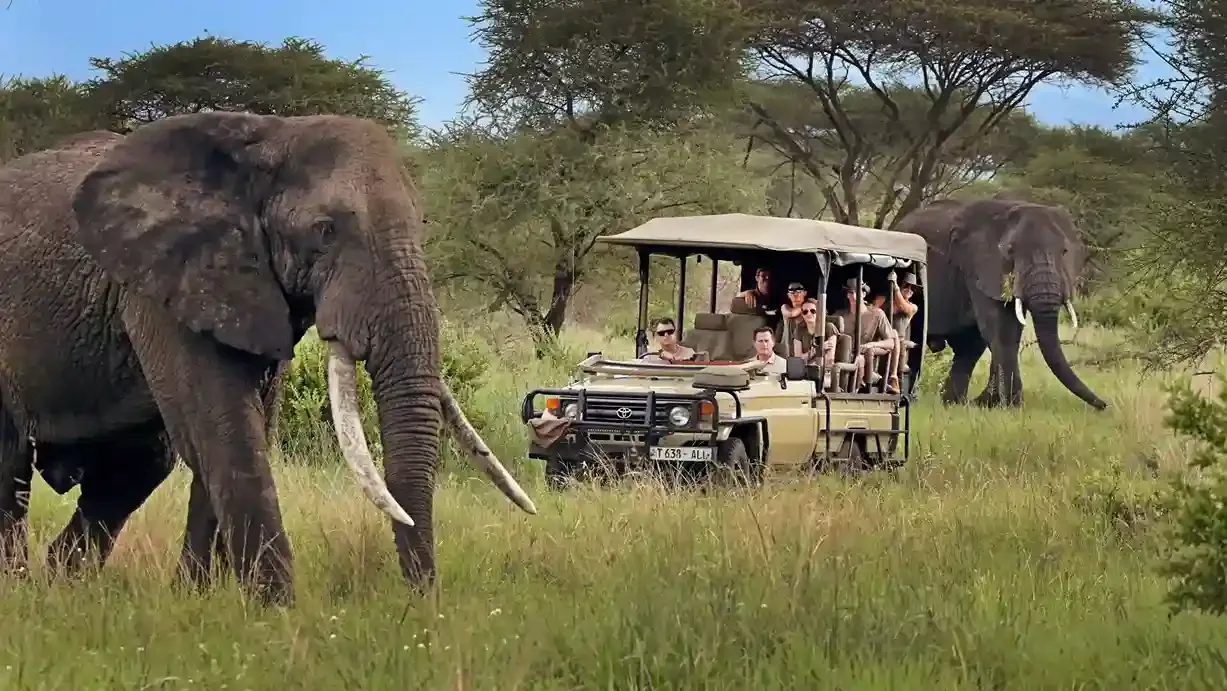 Safari de migration Serengeti à 3 jours