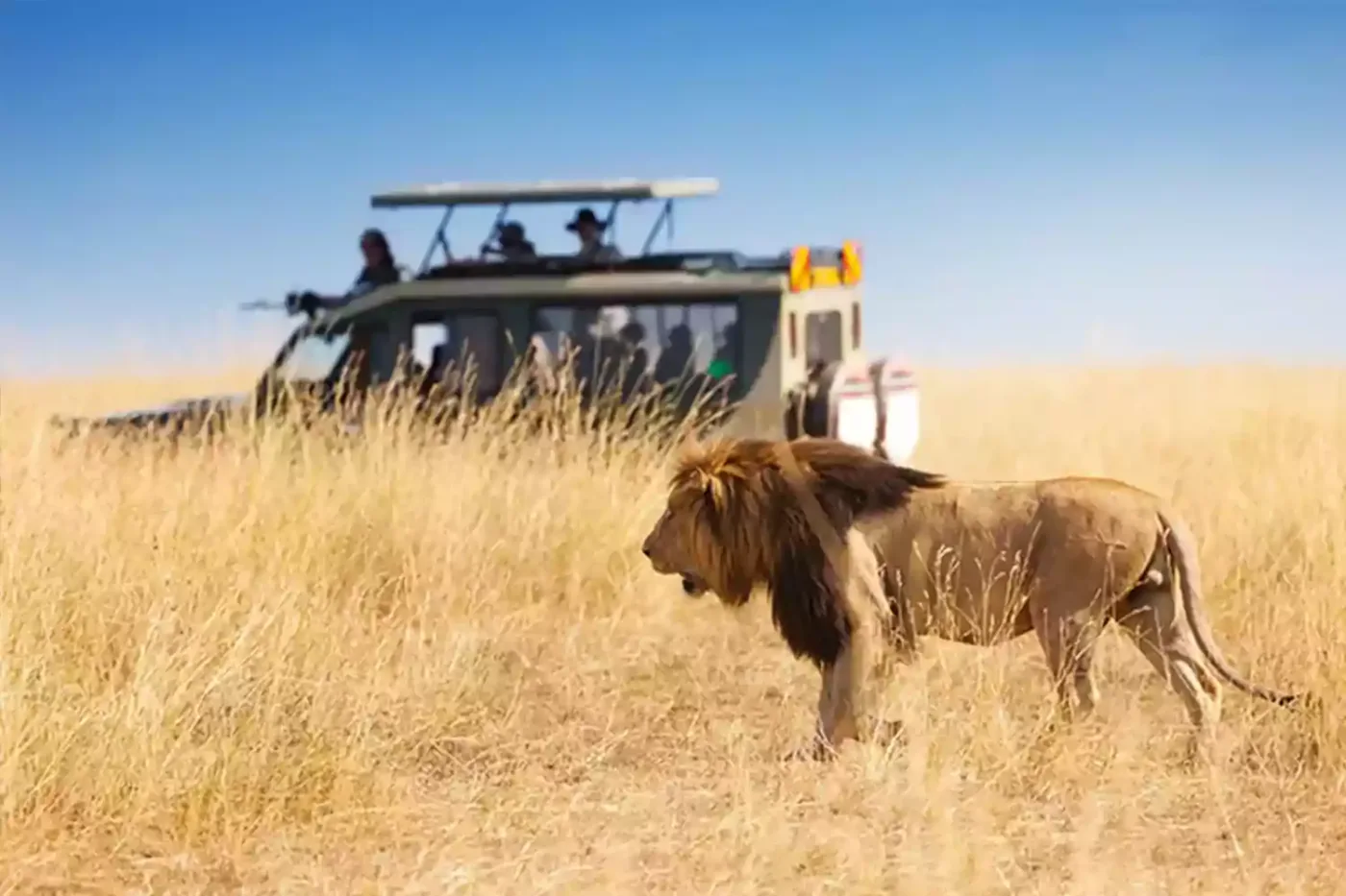 Northern Safari Packages in Tanzania Northern Safari Packages in Tanzania