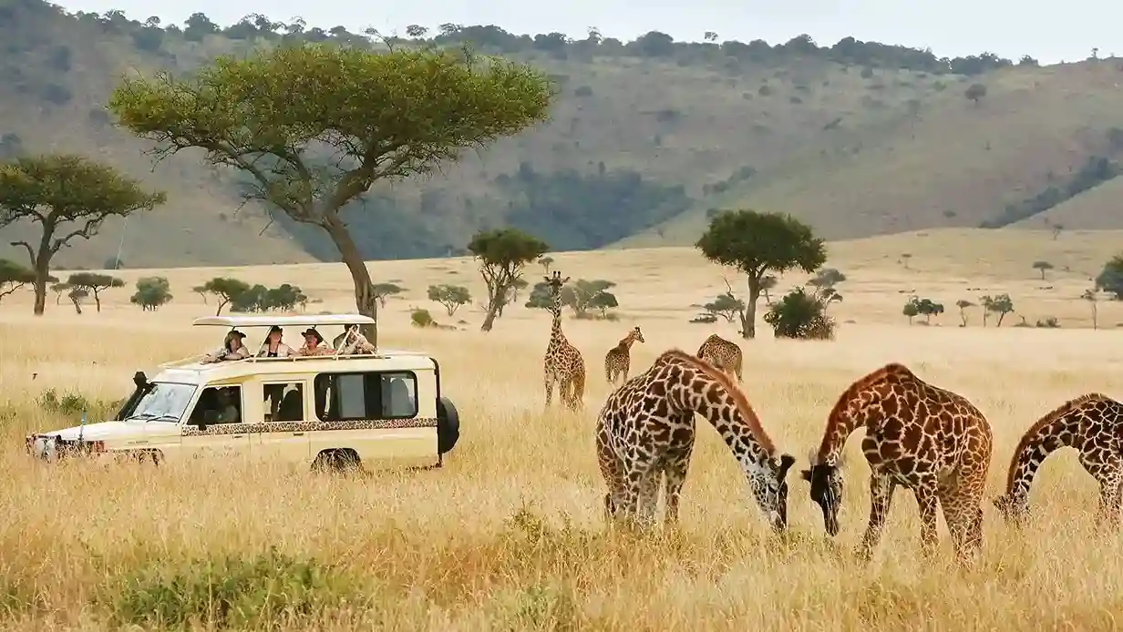 Southern Tanzania Safari Southern Tanzania Safari