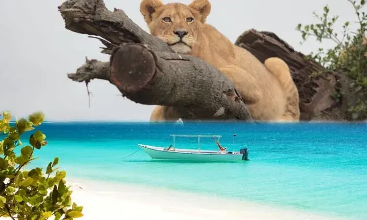 Tanzanie à 8 jours safari de luxe et de culture de luxe