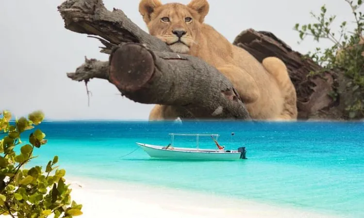 7-Day Tanzania Safari & Zanzibar Combo