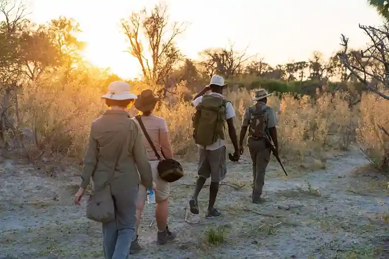 Wildlife tracking in Serengeti