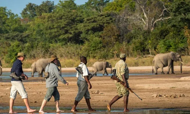 Tourists on a walking safari in Katavi National Park, Tanzania