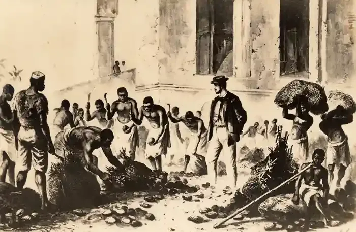 Historic Stone Town with its winding alleys and Omani-influenced architecture