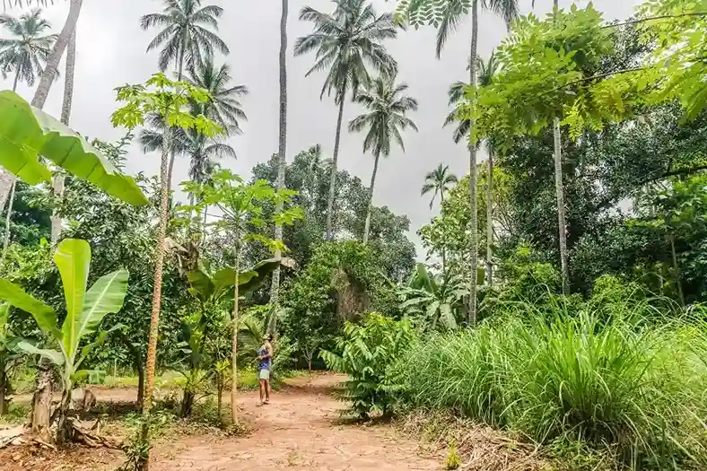 Eco-friendly travel practices in Zanzibar