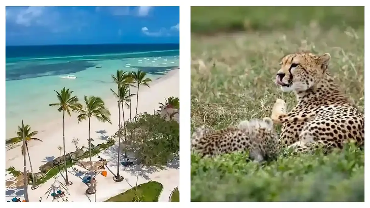 Tour de 7 jours en Tanzania Safari & Zanzibar