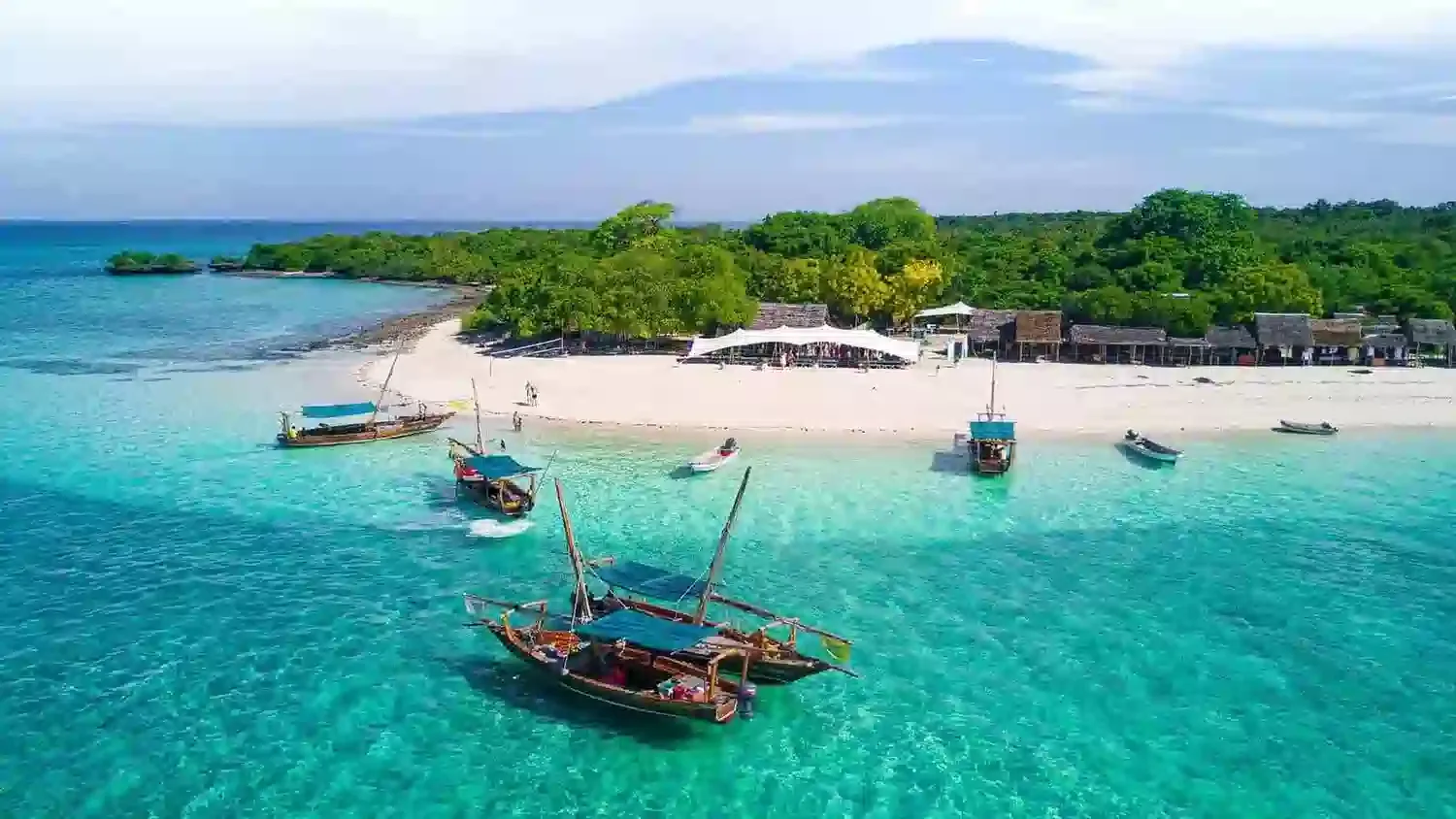 Zanzibar Day Trip from Dar es Salaam in Zanzibar