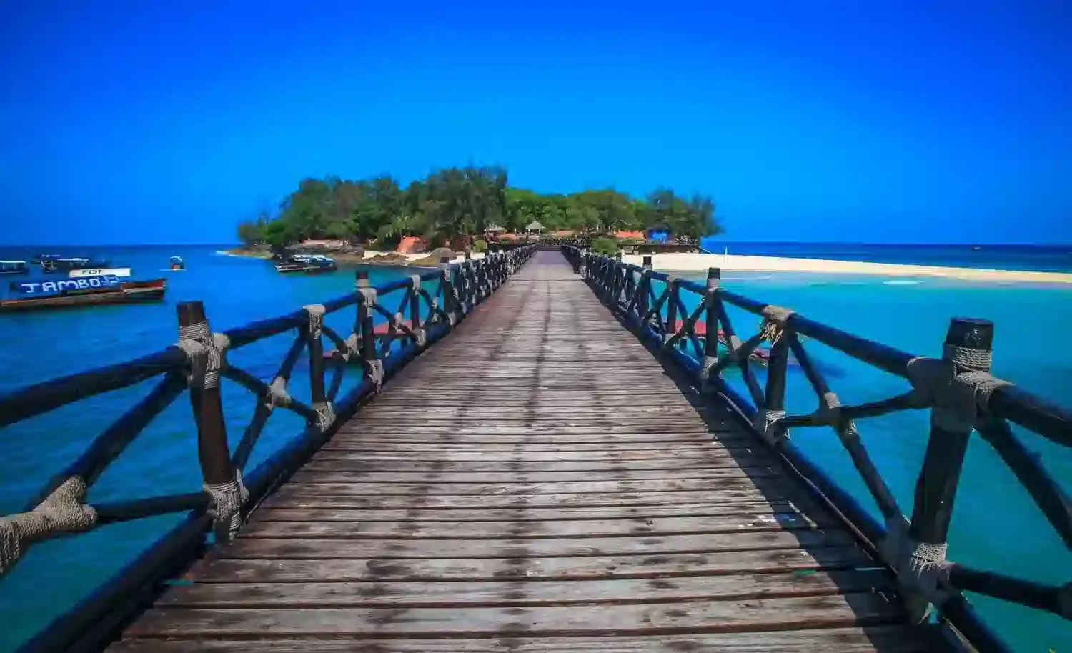 Prison Island Tour from Zanzibar in Zanzibar